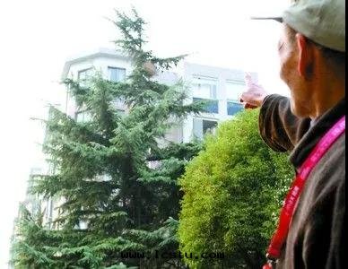 女子在(zài)小區(qū)内被(bèi)馬蜂蜇傷，狀告物(wù)業索賠6万(wàn)元(yuán)！