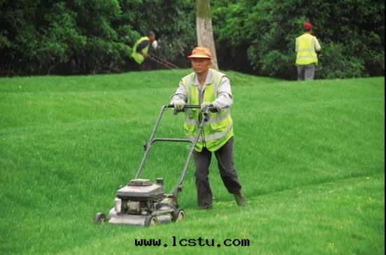 物(wù)業綠(lǜ)化(huà)養護七(qī)个(gè)基本(běn)点！