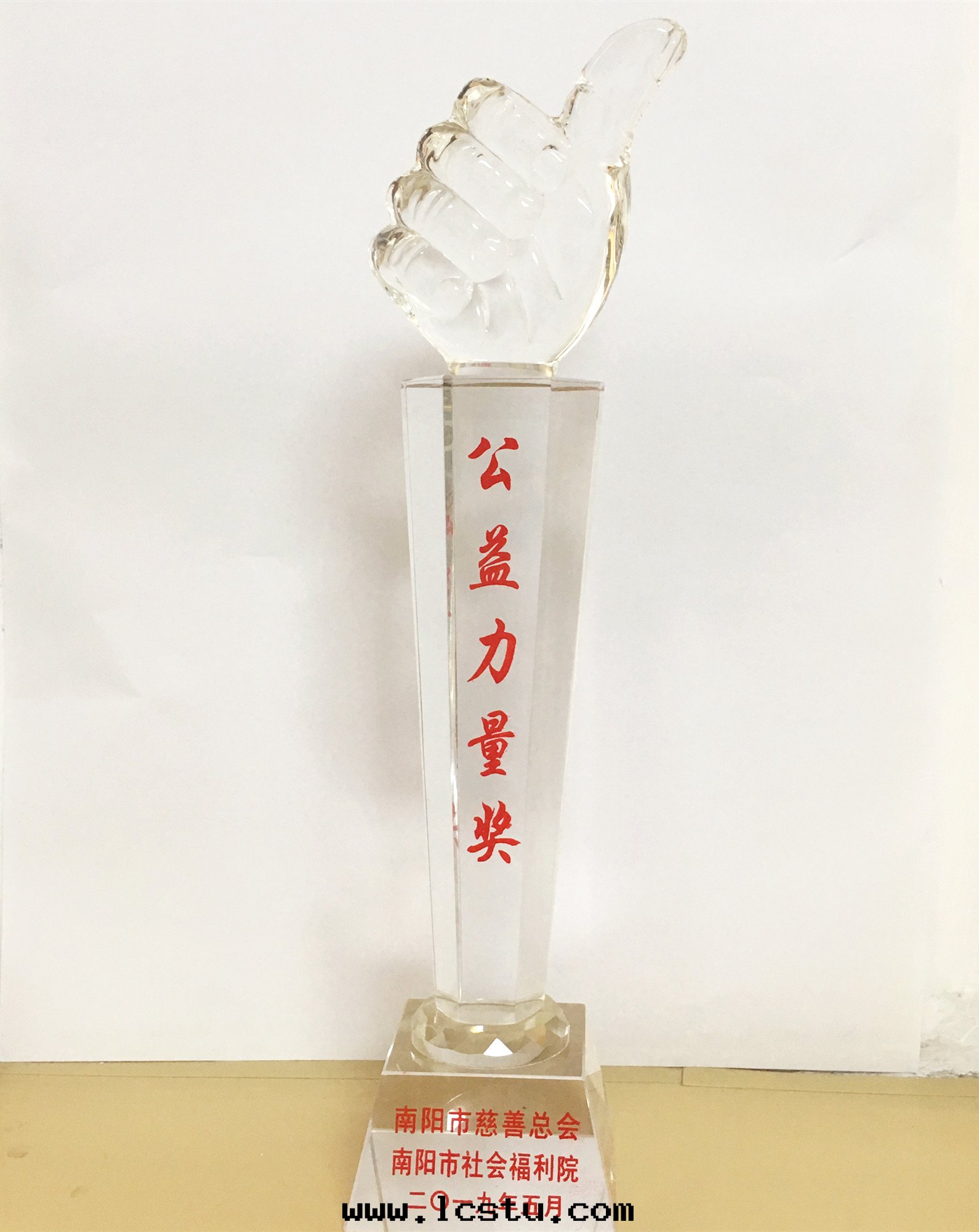 2019年(nián)社会(huì)福利院(yuàn)公益力量(liàng)獎