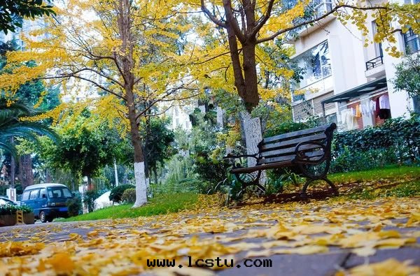 高(gāo)空(kōng)抛物(wù)、有正(zhèng)式罪名(míng)了(le)！