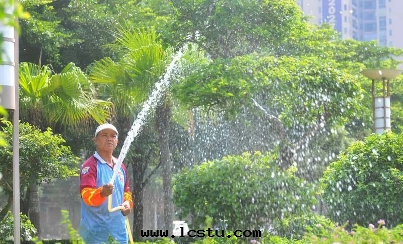 四(sì)月(yuè)園(yuán)林(lín)苗(miáo)木養護要(yào)点！