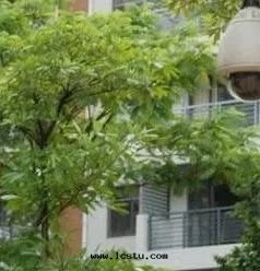 物(wù)業规避的(de)17項主要(yào)風(fēng)險！