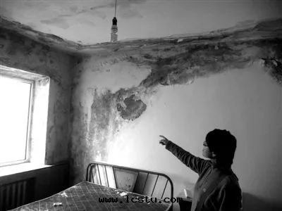 外(wài)牆(qiáng)滲水(shuǐ)，牆(qiáng)紙(zhǐ)发黴，物(wù)業有責嗎？