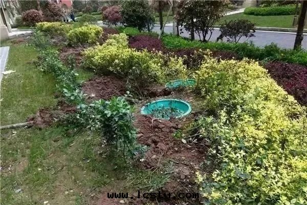 行動(dòng)起(qǐ)来(lái)，向(xiàng)小區(qū)里(lǐ)的(de)不(bù)文(wén)明(míng)行为说(shuō)“不(bù)”！