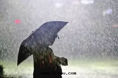 物(wù)業公司夏季防台(tái)風(fēng)、暴雨(yǔ)应急處(chù)理(lǐ)預案(àn)