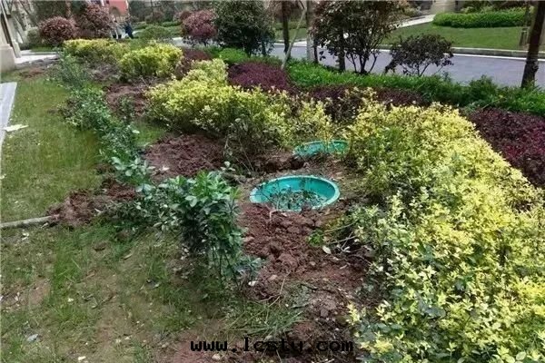 向(xiàng)小區(qū)里(lǐ)的(de)不(bù)文(wén)明(míng)行为说(shuō)“不(bù)”！