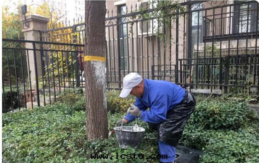 物(wù)業冬季安(ān)全(quán)大(dà)檢查内容與(yǔ)重点有哪些(xiē)？