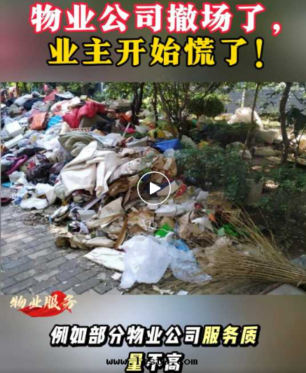 業主委員会(huì)可(kě)以(yǐ)取(qǔ)代(dài)物(wù)業管(guǎn)理(lǐ)嗎