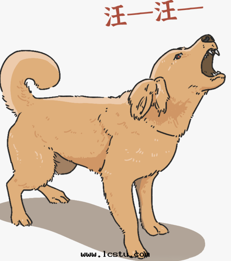 遛狗不(bù)牽绳(shéng)，賠了(le)28万(wàn)元(yuán)！