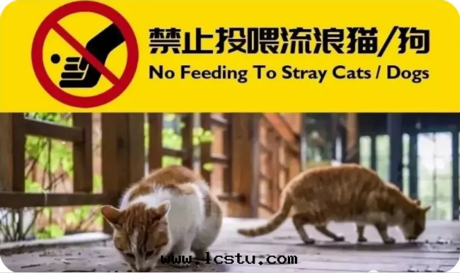 業主朋友，請勿在(zài)小區(qū)内投喂流浪貓、流浪狗！